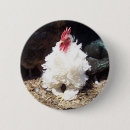Search for cute rooster badges Hen