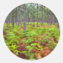 Search for province stickers Green