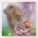Search for afghans barware Dogs