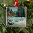 Search for range christmas tree decorations Water