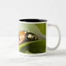 Search for ladybird mugs Nature