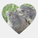 Search for marmot stickers Groundhog