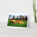 Search for cow herd cards Cows