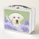 Search for puppy lunch boxes Dog