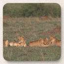 Search for regular people Africa