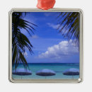 Search for key west christmas tree decorations Harbour