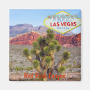 Search for red rock canyon magnets Cactus