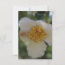 Search for close note cards Floral