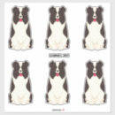 Search for border collies crafts party Animals