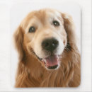 Search for handsome mousepads Dog