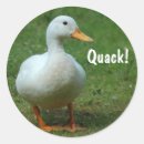 Search for white ducks stickers Cute duck