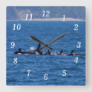 Search for orca killer whale art Wildlife