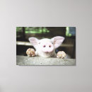 Search for pen canvas prints Animal