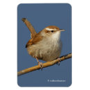 Search for birdwatchers magnets Birding