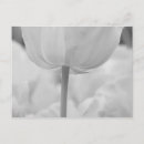 Search for infrared postcards Artistic