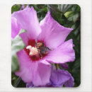 Search for shrub mousepads Flowers