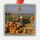 Search for scarecrow christmas tree decorations Fall