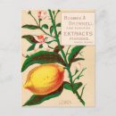 Search for vintage food postcards Retro