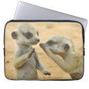 Search for mammal cases Young animal