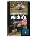 Search for species calendars Nature