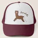 Search for llamas with hats Illustration