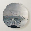 Search for swan cushions River