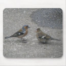 Search for feed mousepads Cute
