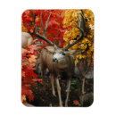 Search for buck deer cards Hunter