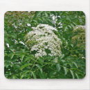 Search for common mousepads Nature