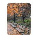 Search for peeping cards Autumn