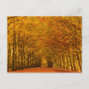 Search for forest walk postcards Walking