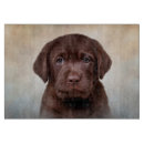 Search for labrador chopping boards Cute