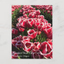 Search for marking postcards White