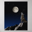 Search for moon in the sky posters Evening