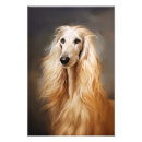 Search for afghan hound art Puppy