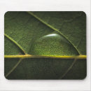 Search for droplet mousepads Nature