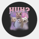 Search for funny cat meme stickers Lets go brandon
