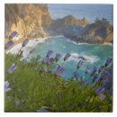 Search for chuck tiles Scenic