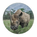 Search for kenya photography Animal