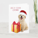 Search for golden retriever christmas cards Puppy