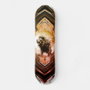 Search for spirit skateboards Cool