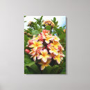 Search for plumeria canvas prints Tropical