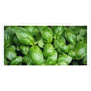 Search for herbs and spices posters Food