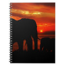 Search for elephant notebooks Wildlife