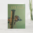Search for funny chimp cards Wildlife
