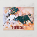 Search for bullfighting postcards Vintage