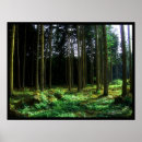 Search for surrealism photography Landscape