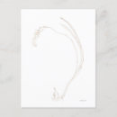Search for dried postcards Floral