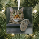 Search for grey kitten christmas tree decorations Tabby cat
