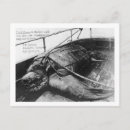 Search for sea view postcards Photograph